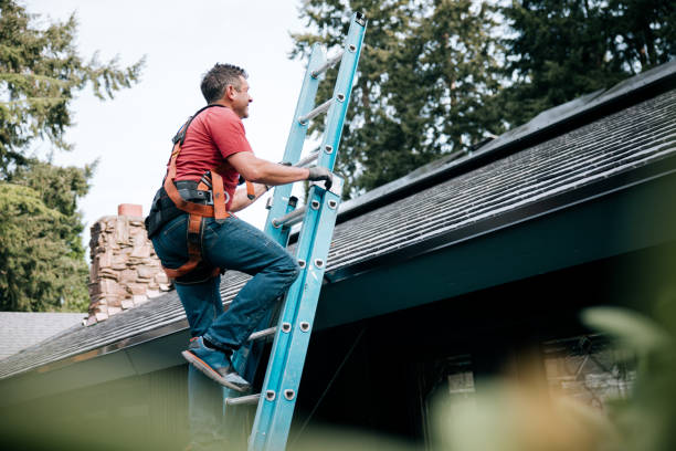Best Roof Maintenance and Cleaning  in Dennis Port, MA